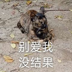 “天猫”来了？天大的猫猫们有自己的表情包啦！点击*载下**