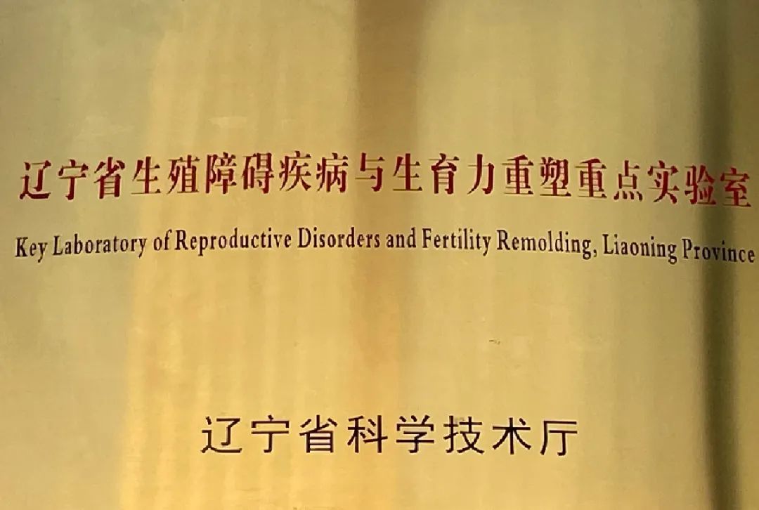 生殖健康，最美医声｜中国医科大学附属盛京医院：多管齐下精准助孕