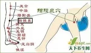 再也不用穿秋裤了！10秒让腿部恒温37度，袪湿又保暖，简直是老寒腿、关节炎的“救星”