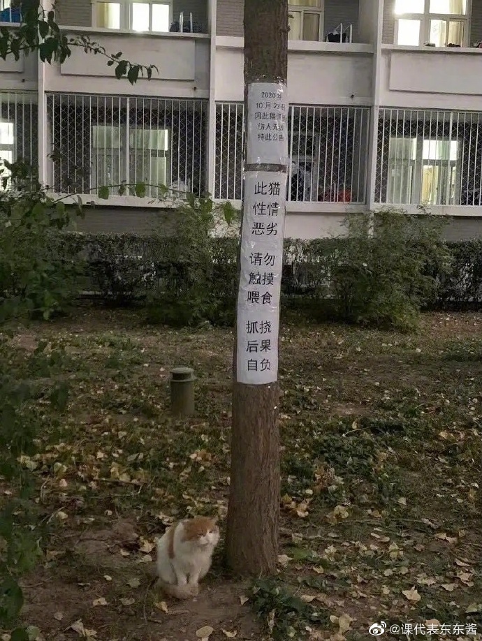 海底捞的单人套餐有什么菜,海底捞的套餐怎么那么便宜