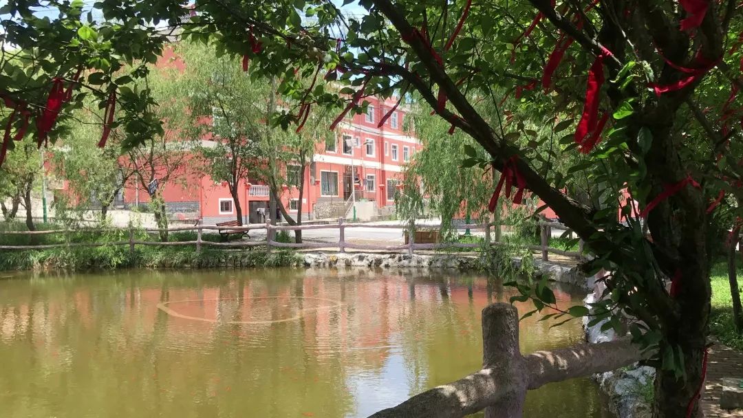 百里杜鹃民宿推荐,贵州百里杜鹃附近民宿