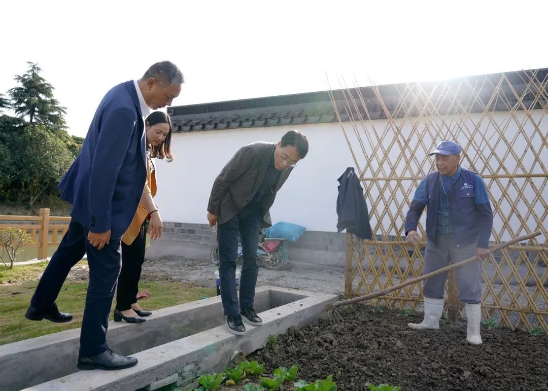 徐泾镇生活日记——包容、快乐、共治共享，陈瑜镇长“话说”金云美丽乡村创建