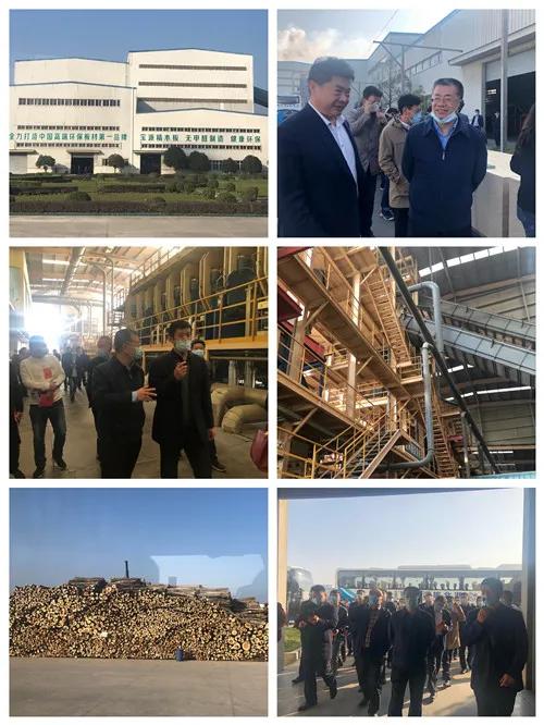 推动绿色发展相关举措有,发展绿色产业赋能高质量发展