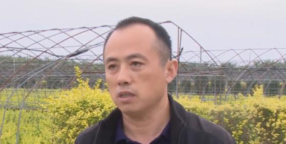 沭阳带动就业促民增收,沭阳县钱集发展