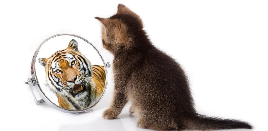 如何管理好自己的情绪150字,如何管理自己的情绪七年级