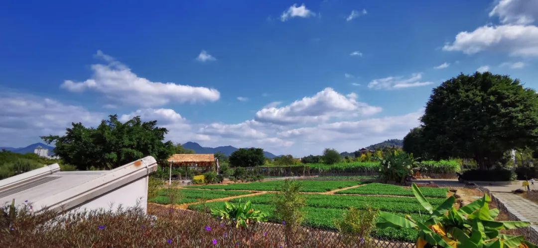 来福州逛一圈回家,来福州一定要走一走闽侯龙台山