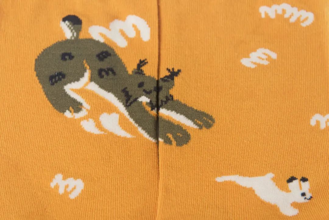 猞猁和雪兔,雪兔和猞猁