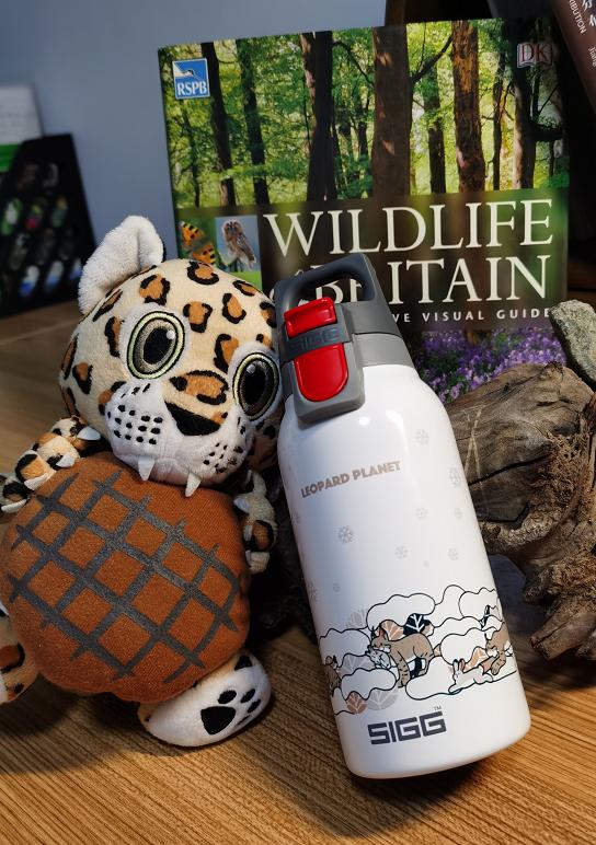 猞猁和雪兔,雪兔和猞猁