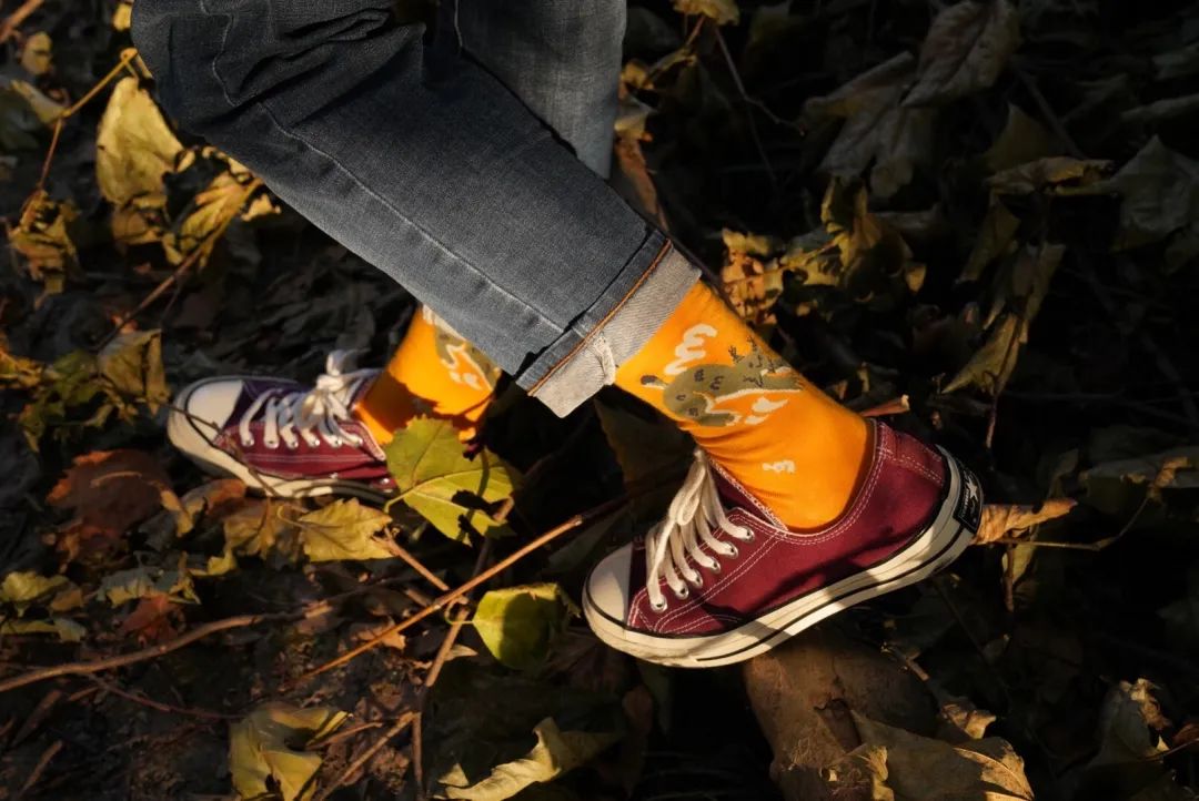 猞猁和雪兔,雪兔和猞猁