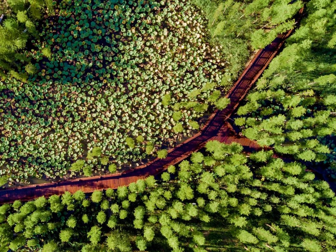 「人居镜界」贾汪·潘安湖——起于心，止于意