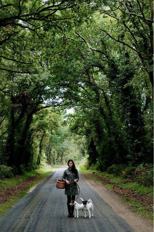 养十几只狗狗博主,网红养小土狗日常