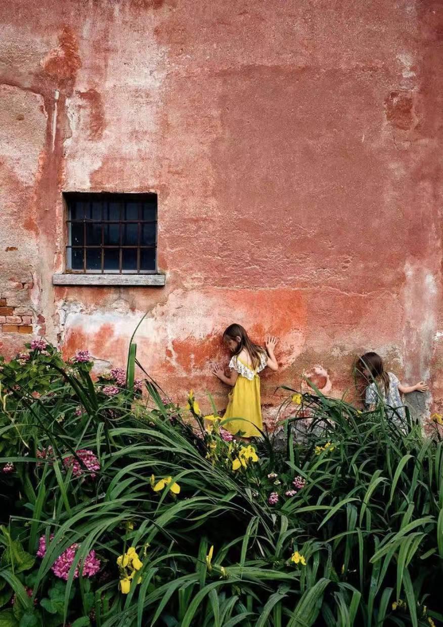 养十几只狗狗博主,网红养小土狗日常