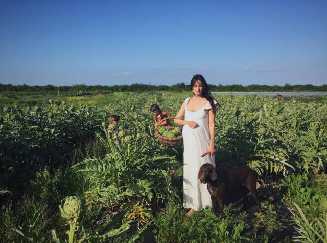 养十几只狗狗博主,网红养小土狗日常