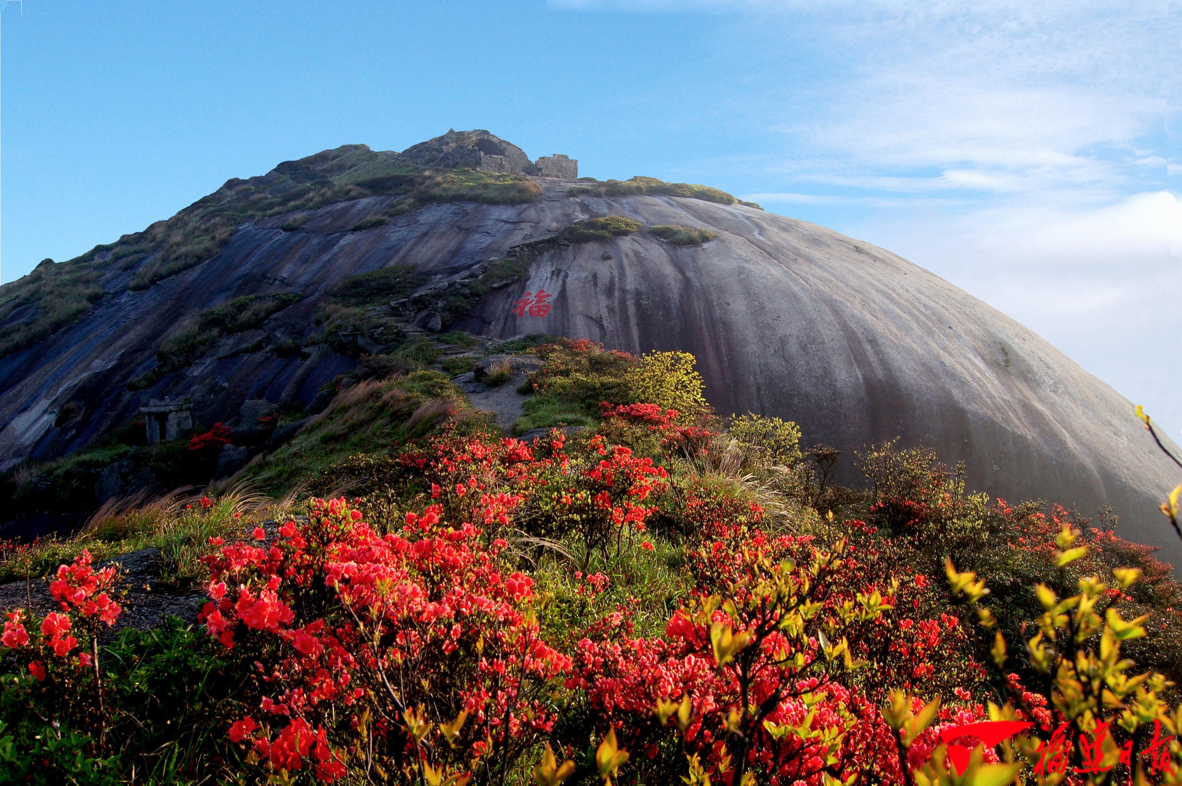 建宁水稻种子,建宁县水稻种子