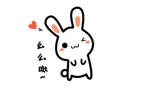 建宁水稻种子,建宁县水稻种子