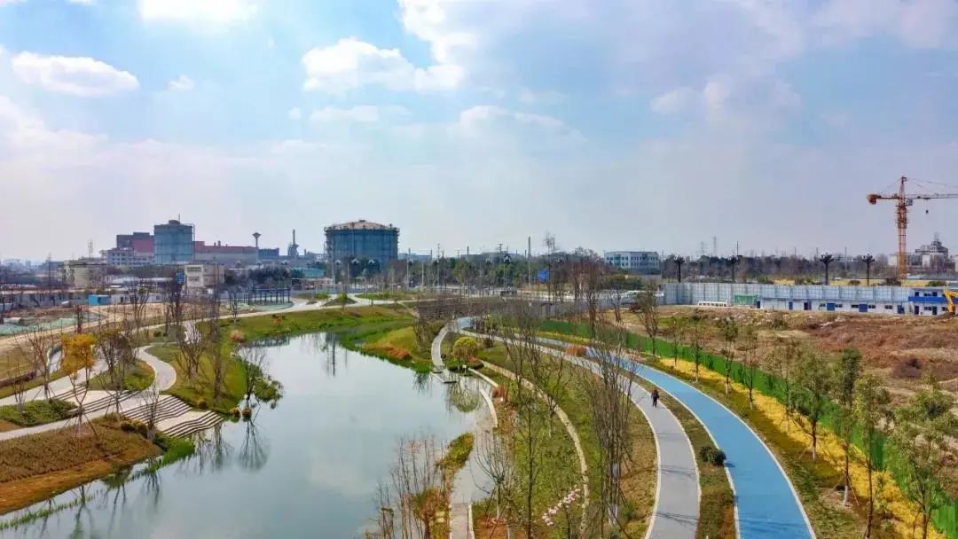 马拉多纳四川成都,缅怀马拉多纳的人都在哪里