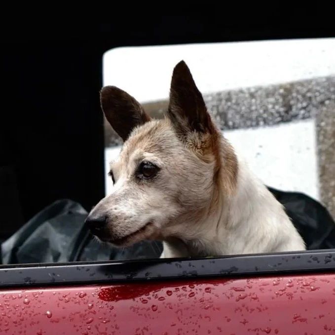 开车犯困怎么办4个方法可缓解,开车犯困怎么提神效果最好