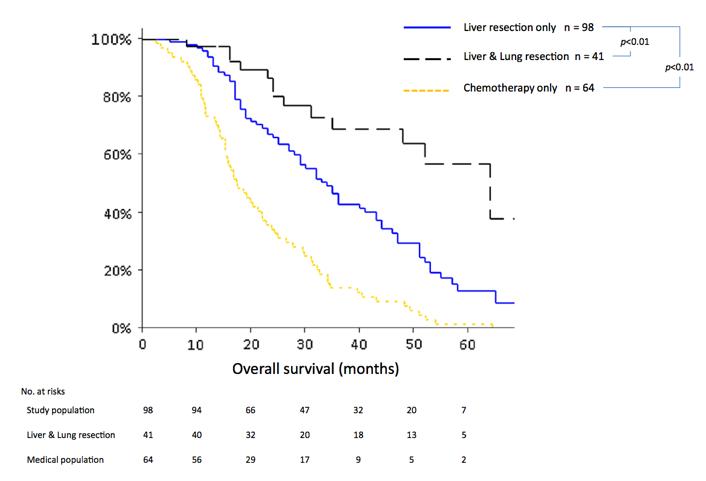 直肠癌双肺转移用靶向药可活几年,结直肠癌肝转移