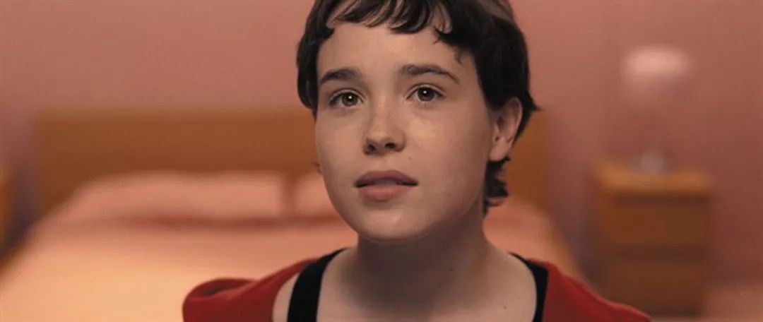 阳光小镇真实故事,真实事件改编恶行