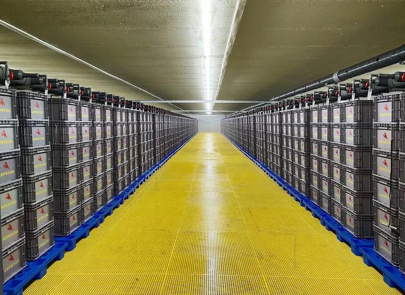 小龙虾离开水域能活吗,小龙虾离开水能活多少时间