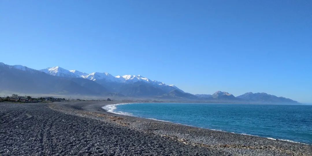 6年睡在公司里，35岁留学，36岁获得新西兰顶级动画新人奖——超酷红姐的硬核人生