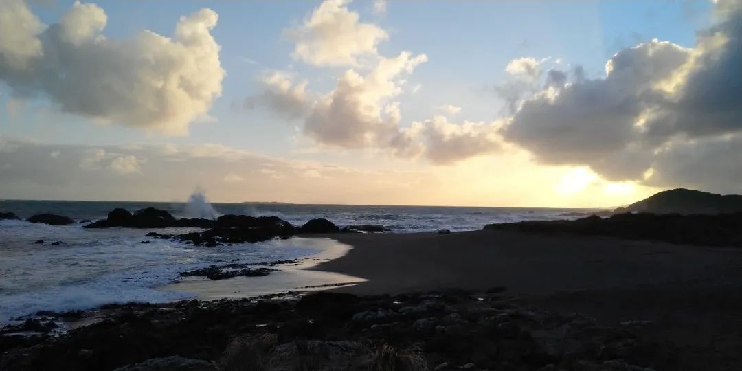 6年睡在公司里，35岁留学，36岁获得新西兰顶级动画新人奖——超酷红姐的硬核人生