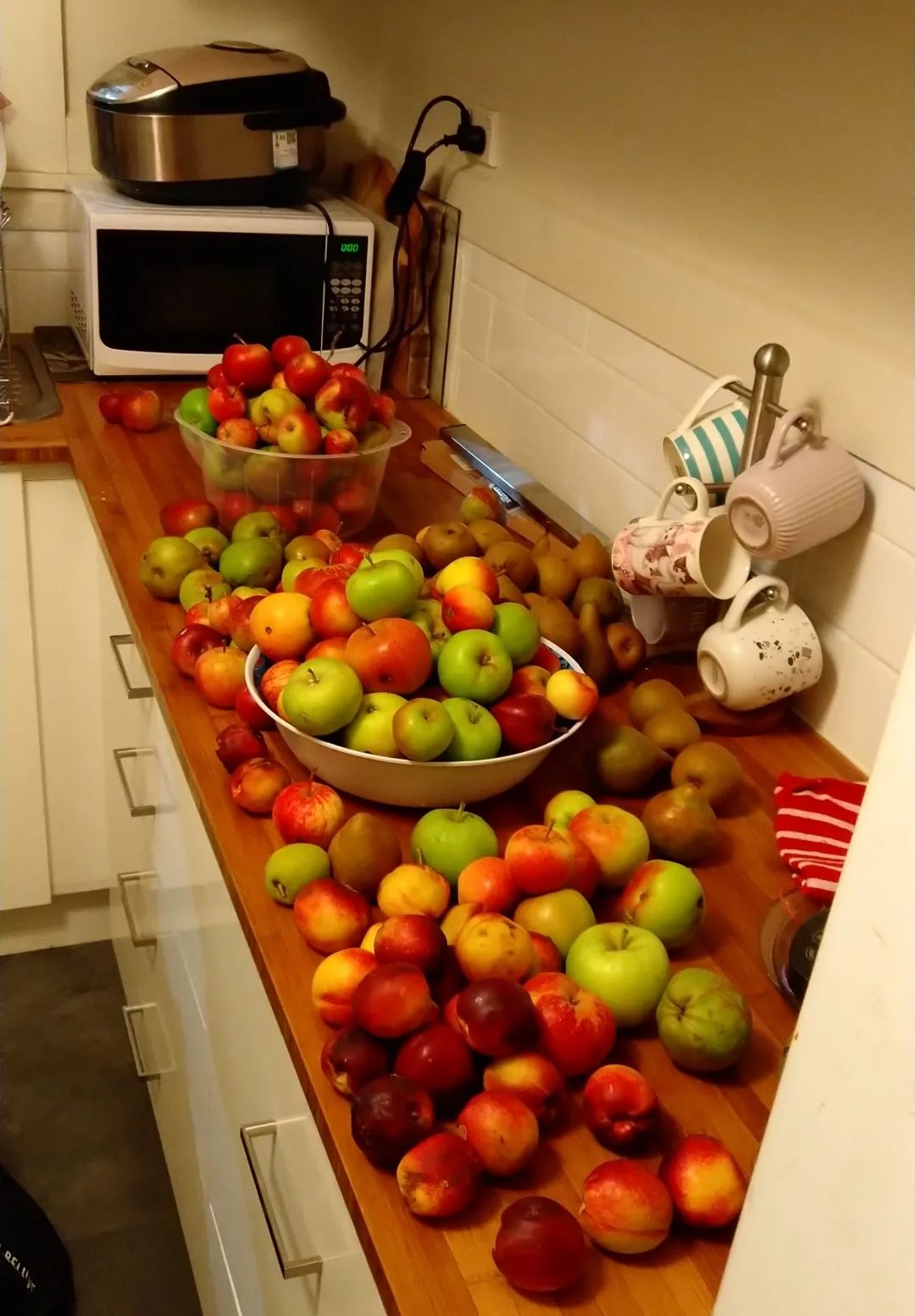 6年睡在公司里，35岁留学，36岁获得新西兰顶级动画新人奖——超酷红姐的硬核人生