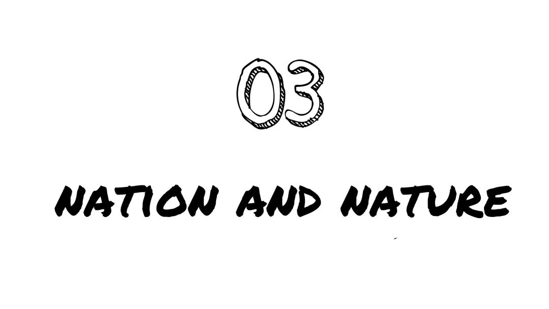 双十二购物服务,双十二购物必买家居