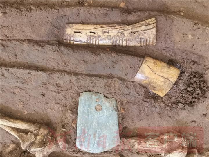 南阳黄山遗址最新发现,南阳黄山遗址发掘进展