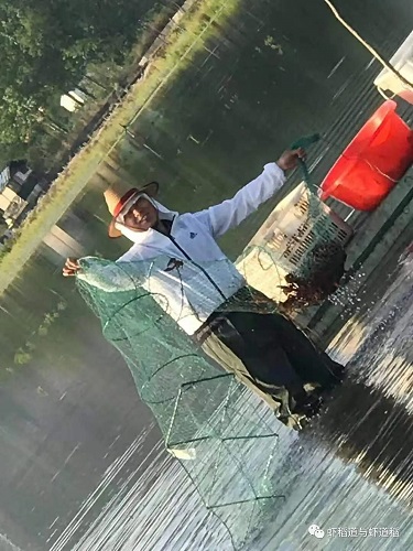 稻虾养殖一亩田的收益,90后致富带头人稻虾养殖