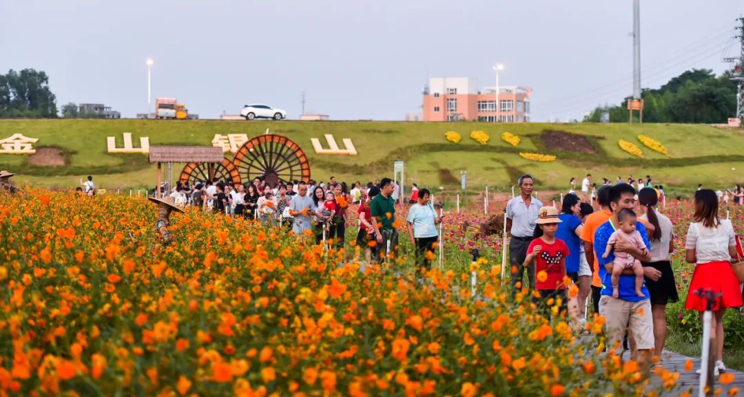 新建学校项目建设流程图,三水锦江路匝道