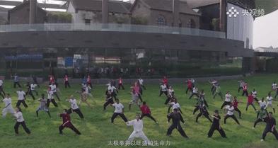 太极拳申遗是哪个名录,太极拳列入世界非遗名录大型晚会