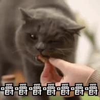 脸越来越圆胖是怎么回事,为什么腮和脸突然胖了好多