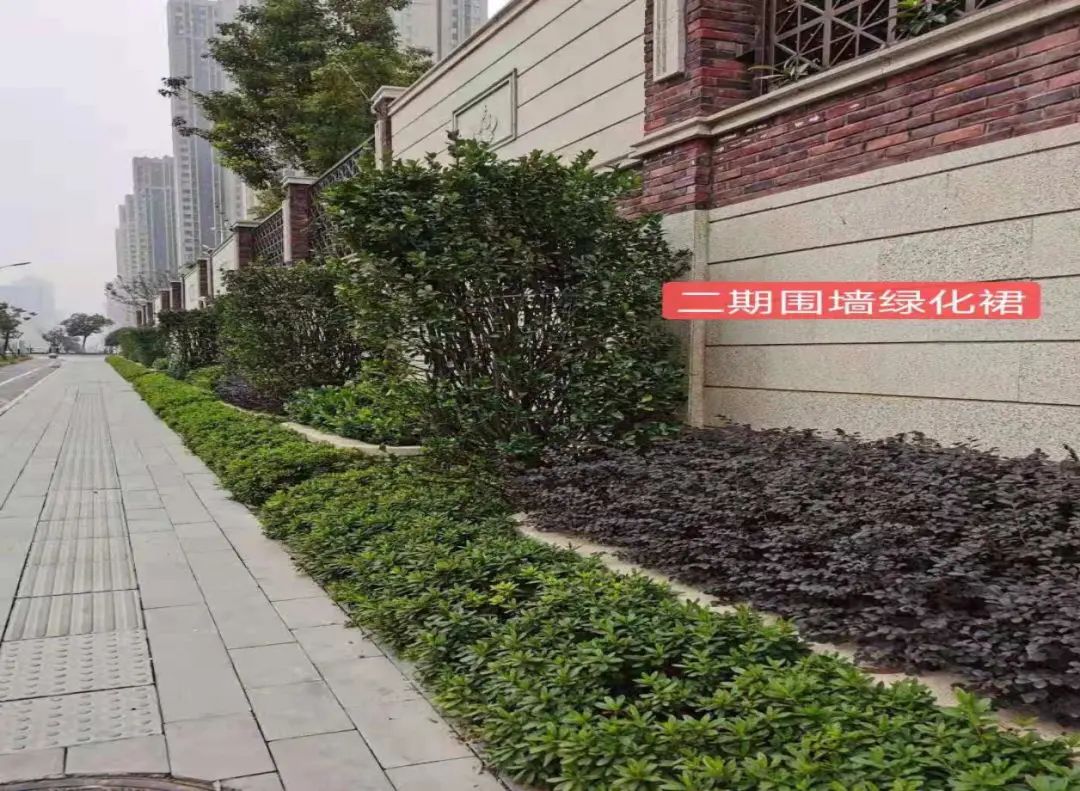 信达公园里命案,信达公园里投诉事件