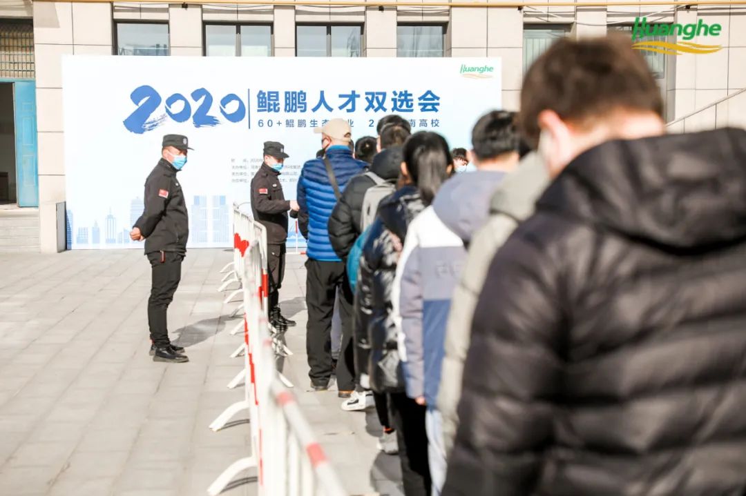 鲲鹏技能有哪些,鲲鹏技能