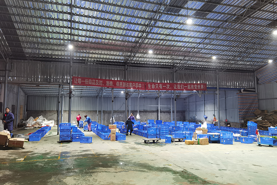 兴盛优选中国电商领跑者,兴盛优选公司盈利模式