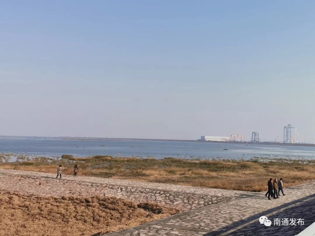 南通最美海岸线,南通海岸线公园风景图