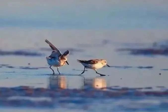 南通最美海岸线,南通海岸线公园风景图