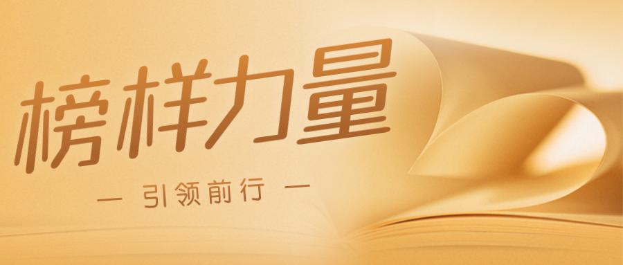 乡村振兴人物榜主要人物,乡村振兴人物榜央视三农