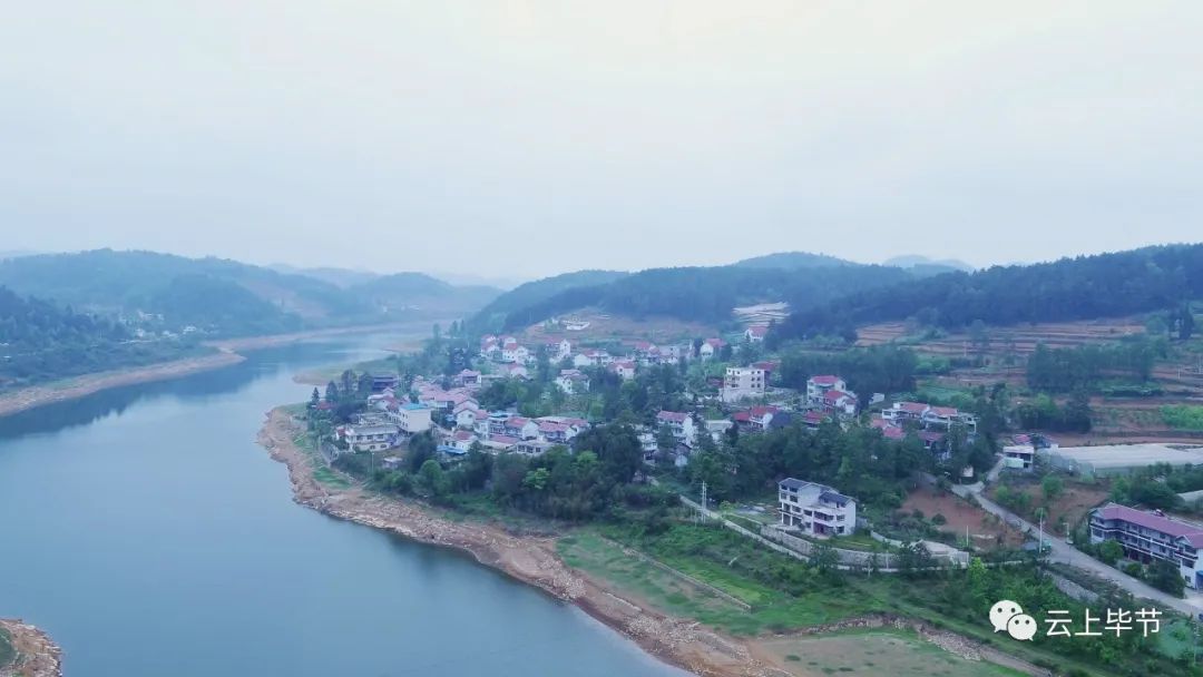 黔西北回忆,黔西北百里杜鹃第一村