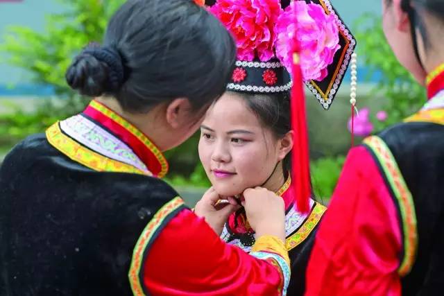 黔西北回忆,黔西北百里杜鹃第一村