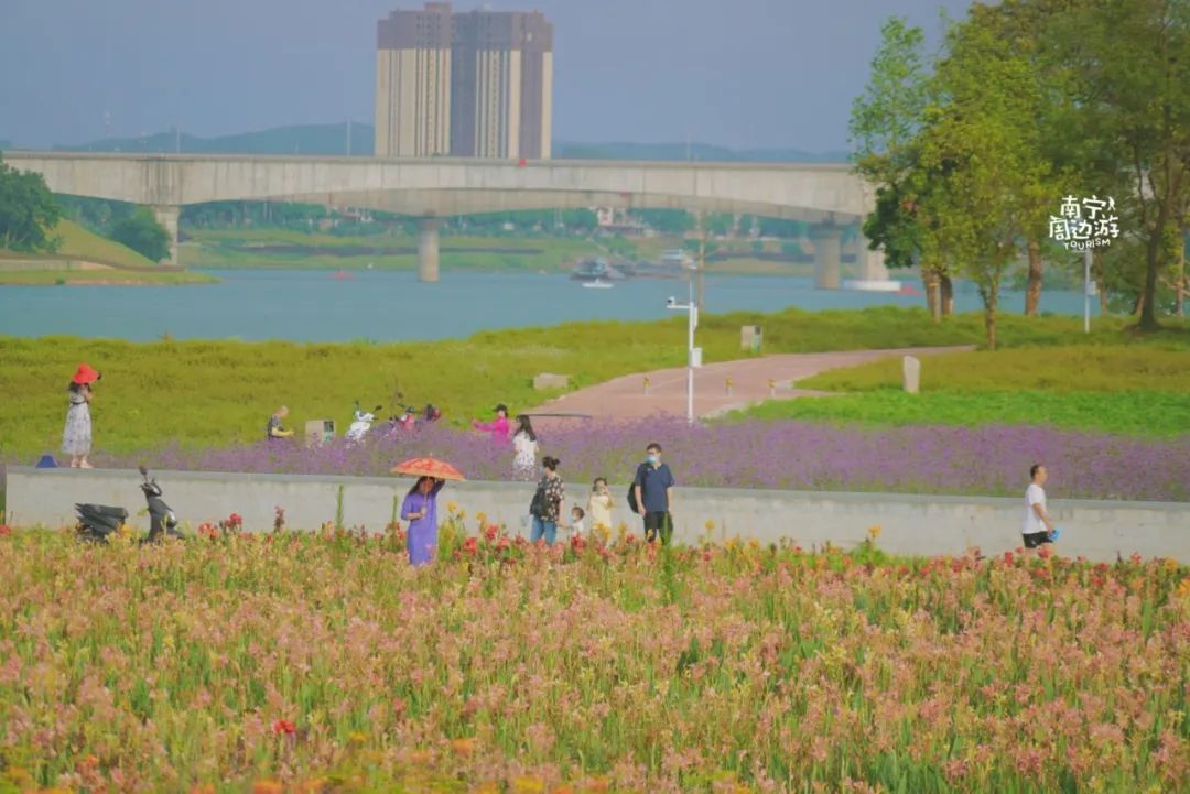 南宁适合一日游攻略,南宁免费玩的地方