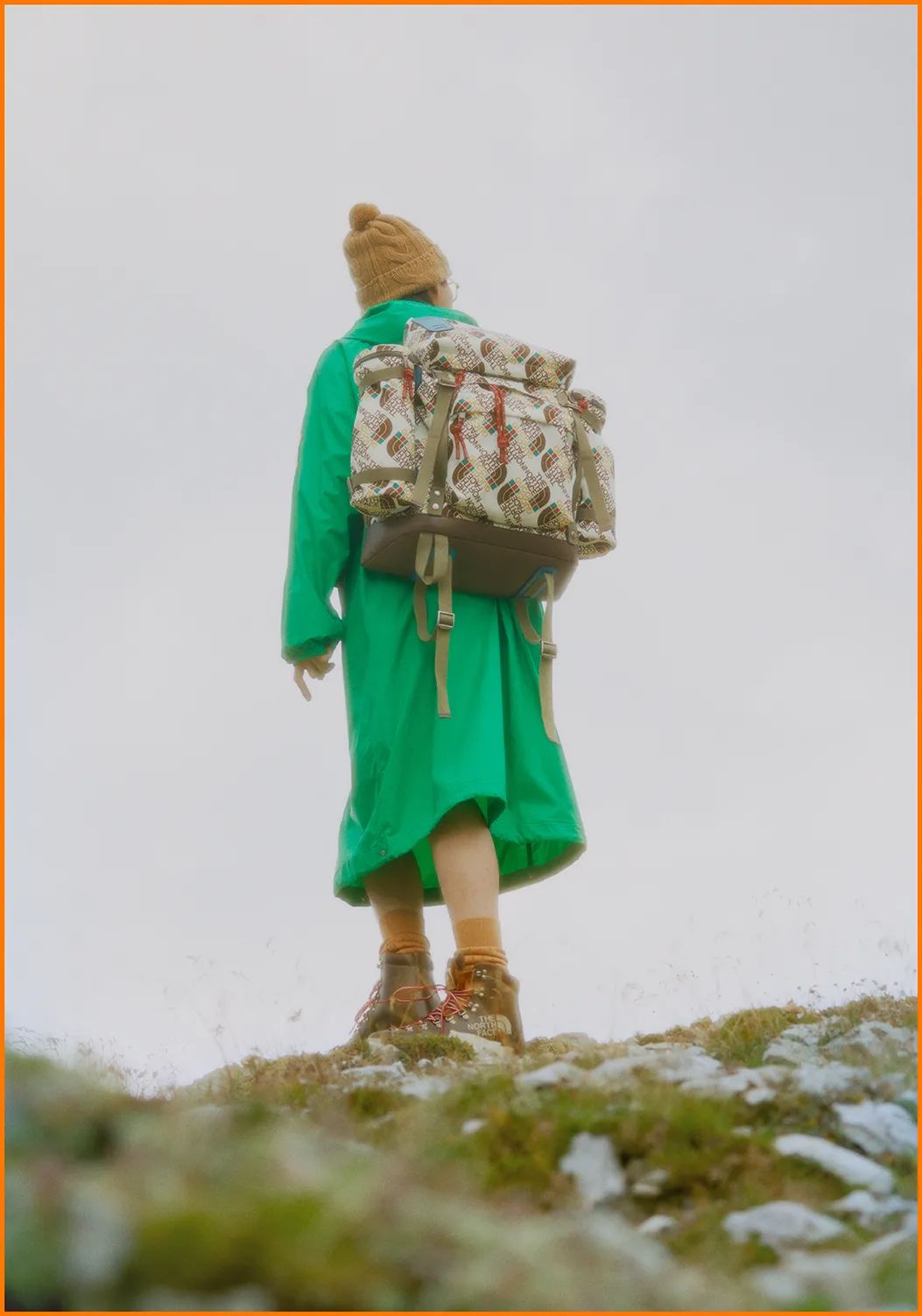 为什么满大街都是穿北面羽绒服的,北面羽绒服700和900的区别