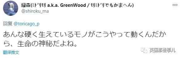 樱花妹高清完整,樱花妹最新视频