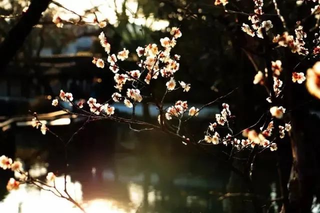 小赤壁、小武当……藏在苏州园林里的“名山大川”