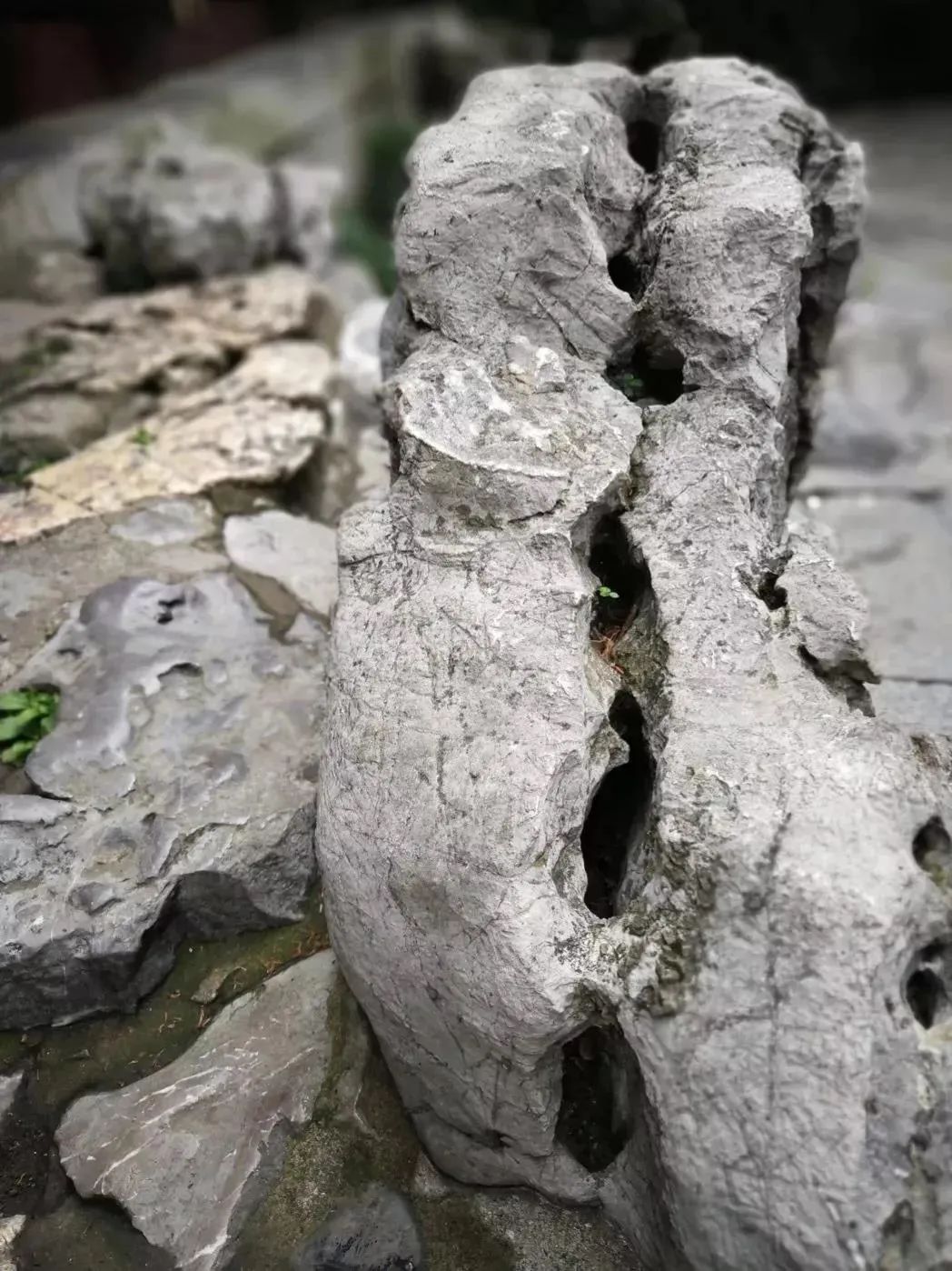 小赤壁、小武当……藏在苏州园林里的“名山大川”