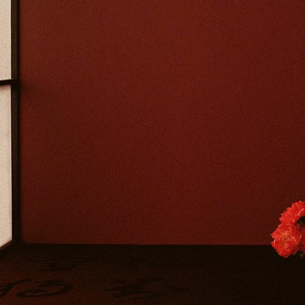 郭采洁仙女发型,郭采洁红色括号眉造型图片