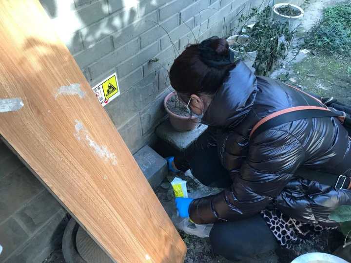 物业有义务帮忙抓老鼠吗,小区老鼠出没社区帮忙消灭