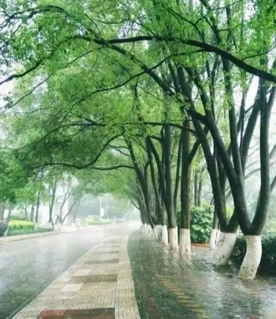 赣州真是很神奇的城市,赣州是一座怎样的城市