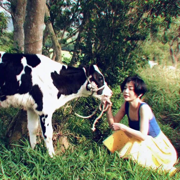 郭采洁仙女发型,郭采洁红色括号眉造型图片